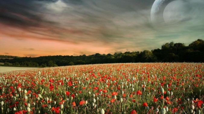 怎么看待B站舞蹈区和某些风格比较暴露的up？